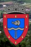 Primăria Bustuchin