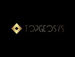 Topgeosys