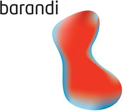 Barandi Solutions