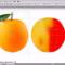 Gradient-mesh-tool