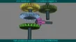 Soft educational INTERACTIV 3D interdisciplinar