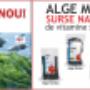 Alge marine