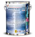 Intaritor Poliuretanic Nesolventat EMEX 2K - PA