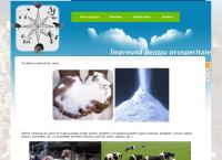 Website Prodvest