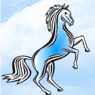 Editura Mustang