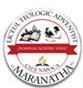 Liceul Teologic Adventist "maranatha"