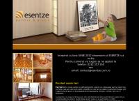 Website S.c. Meteor Group S.r.l