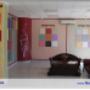 Showroom Vopsele Profesionale - Iasi
