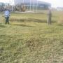 Tuns iarba, buruieni, gazon