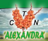 Complexul de Terapie Naturala Alexandra SA