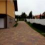 pavele