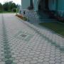 pavele