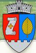 Primăria Voivodeni