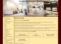Website Media Press SRL