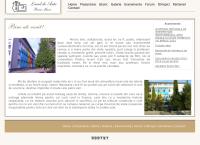 Website Liceul de Arta Baia Mare