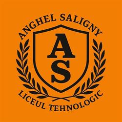 Colegiul Tehnic "anghel Saligny"bacau