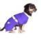 Costum BOBY