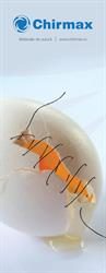Sc. Chirmax Surgical Sutures. SRL
