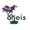 logo aneis - centru de dezvoltare spirituala