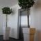 plante d einterior