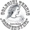 Colegiul Tehnic "carmen Sylva" - Baia Mare