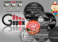 Website Gepex SRL