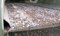 Site metalice ciur vibrant