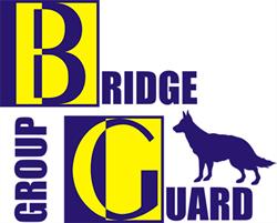 Bridge Guard