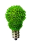 Meir Green SRL