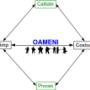 Calitate-timp-proces-cost-oameni