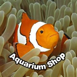 S.c. Aquarium Shop S.r.l.