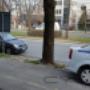 Încărcat de vizitator în 25.03.2016 