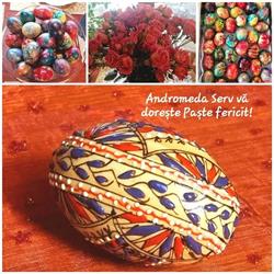 Andromeda Serv SRL