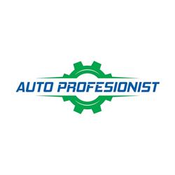 Auto Profesionist SRL