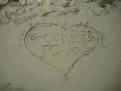 Solarex Tours