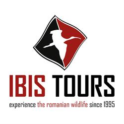 Ibis Tours