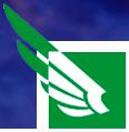 Falcon Travel