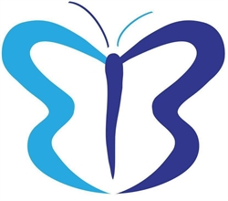 Boreal Tours