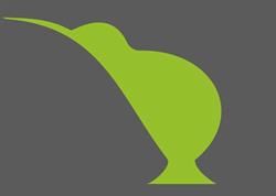 Kiwi Travel