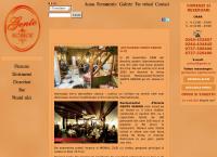 Website Gente Senior