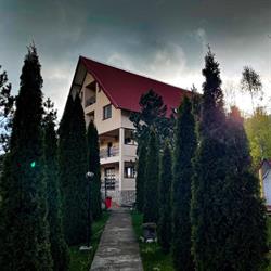Vero