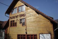 Flori de Camp