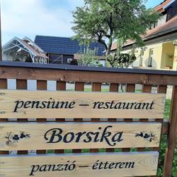 Borsika pensiune si restaurant