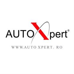 d Auto Xpert