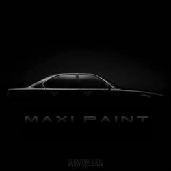 Maxi Paint Service SRL
