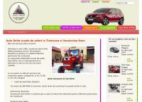 Auto Delta Timisoara