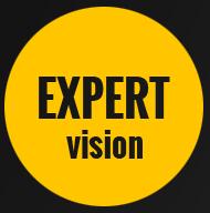 Expert Vision