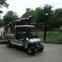 Auto cargo Electric - ZOOparc