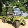 Electro Auto - Vanatori, zone turistice - OFF Road