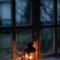 Pompe-Funebre-Salaj-
